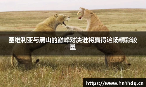 必一bsports