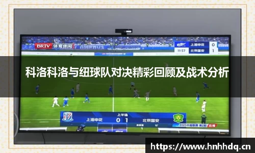 bsports