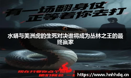 bsports官方网站